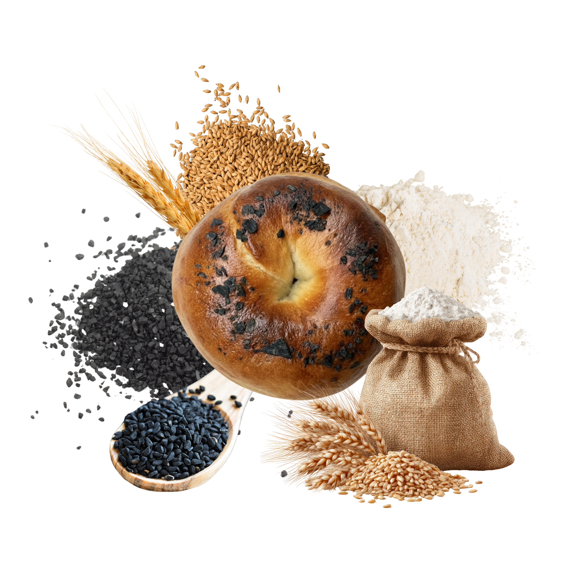 Burned Salt Bagel
